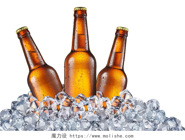 白色背景上放入冰块上的啤酒冷瓶啤酒中的冰块. 